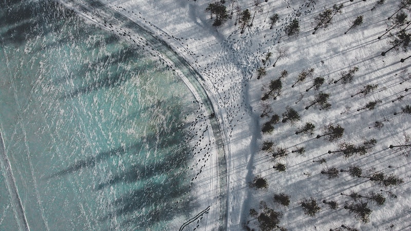 Pakete nach Finnland bei Sendify versenden. Päckchen Finnland – ganz schnell und einfach.